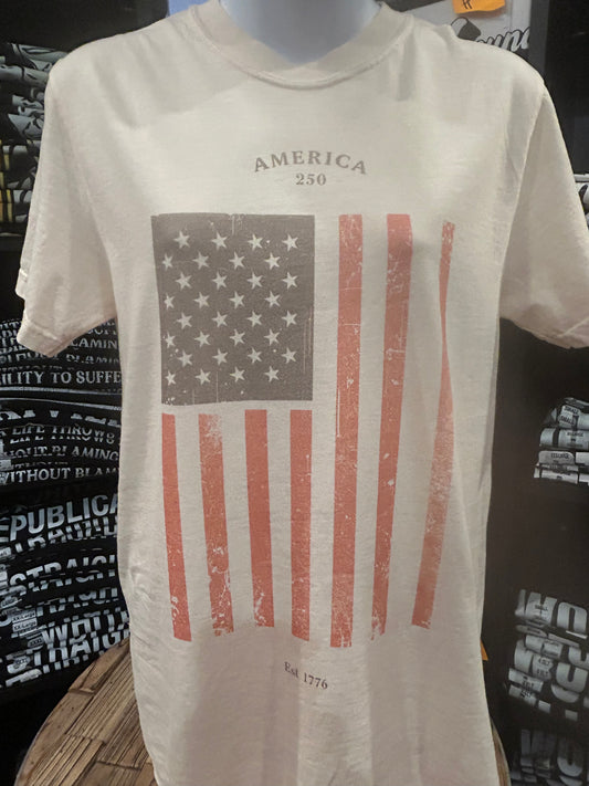 250 America Flag tee